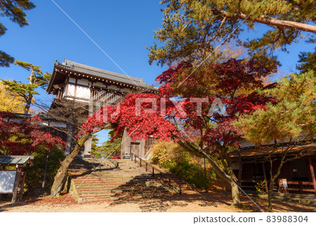 Autumn leaves of Chiaki Park 83988304