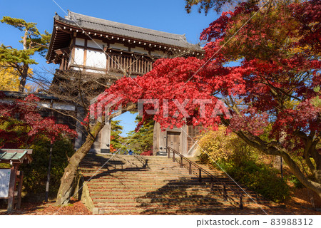 Autumn leaves of Chiaki Park 83988312
