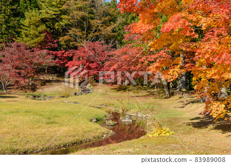 Hikikoshiji in autumn Hikikoshiji in autumn 83989008
