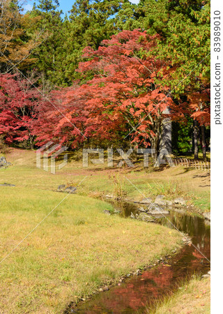 Hikikoshiji in autumn 83989010