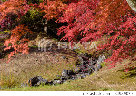 Hikikoshiji in autumn Hikikoshiji in autumn 83989070