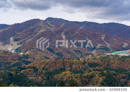 Autumn leaves in Shokawa and Gujo 83989109