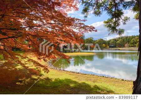 Hikikoshiji in autumn 83989117