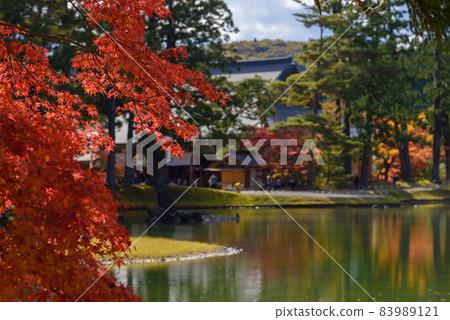 Hikikoshiji in autumn 83989121