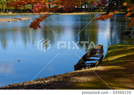 Hikikoshiji in autumn 83989139