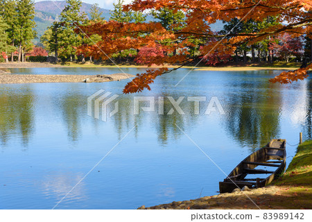 Hikikoshiji in autumn 83989142