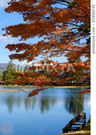 Hikikoshiji in autumn 83989145