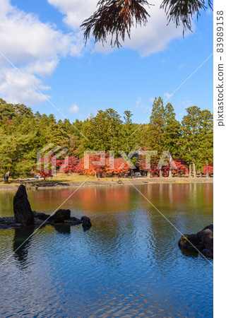Hikikoshiji in autumn 83989158