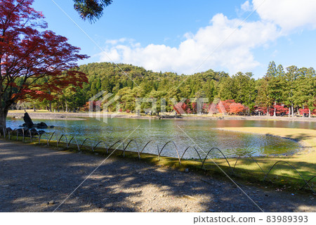 Hikikoshiji在秋天 83989393