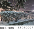 Seoul Winter 83989997