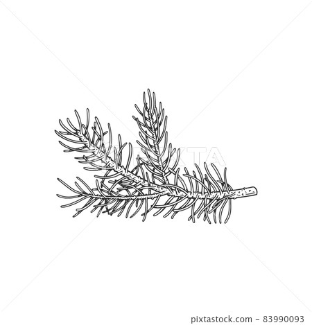 Christmas fir tree branch hand drawn black line vector illustration isolated. 83990093