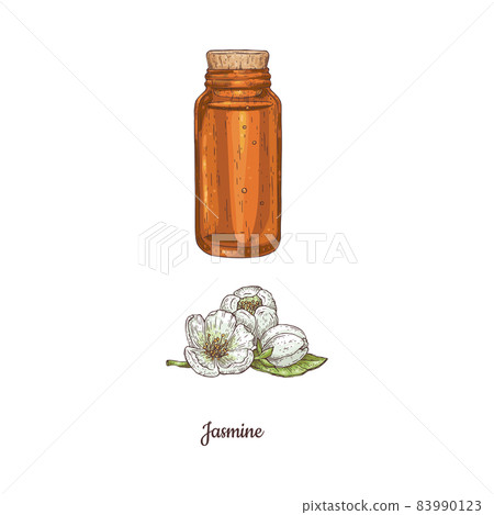 Bottle of jasmine aromatic oil and flowers, vector illustration isolated. 83990123