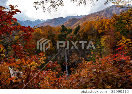 岐阜縣白川村白川鄉及周邊的秋景 岐阜縣白川村白川鄉及周邊的秋景 83990313