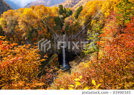 Autumn scenery in and around Shirakawa-go, Shirakawa-mura, Gifu Prefecture 83990385