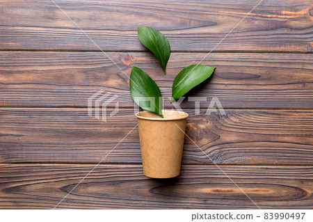 Zero waste cup with green leaf, environmentally friendly, disposable, cardboard, Eco-friendly coffee cup. top View with copy space 83990497