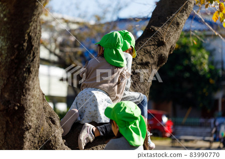 Kindergarten children climbing trees in the park 83990770