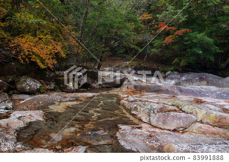 流經富士河內溪谷的翠綠色河流景觀 83991888