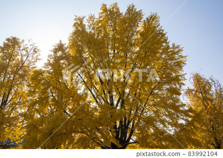 景福宮（第117號古蹟），首爾鐘路區 83992104