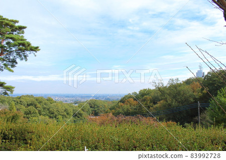 View from the summit of Mt. 83992728