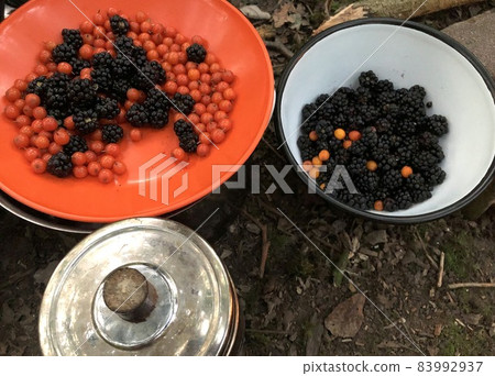healthy food found in nature ready to eat 83992937