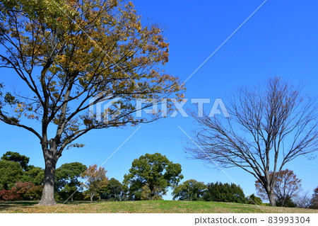 Happiness village in the late fall 83993304