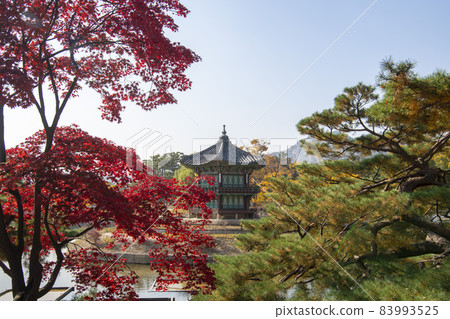Taejwonjeong(寶藏1761),景福宮(歷史遺址117),首爾鐘路區 Taejwonjeong(寶藏1761),景福宮(歷史遺址117),首爾鐘路區 83993525