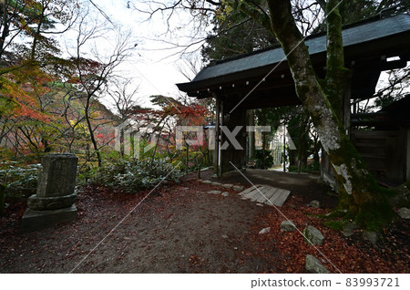 瑞寶寺公園的紅葉 83993721