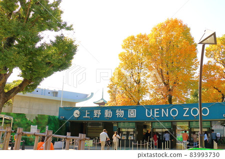 Tokyo Onshi Ueno Zoo, Omotesando Ueno Zoo, 9-83 Ueno Park, Taito-ku, Tokyo 83993730