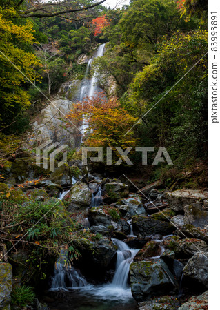 Unexplored autumn Gokanso autumn leaves scenery 83993891