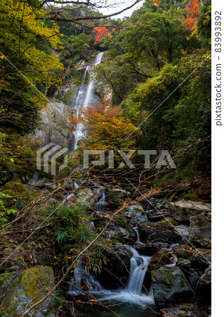 Unexplored autumn Gokanso autumn leaves scenery Unexplored autumn Gokanso autumn leaves scenery 83993892