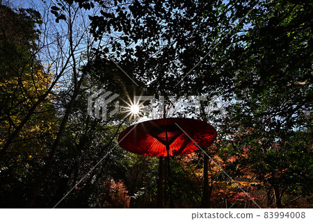 瑞寶寺公園的紅葉 83994008