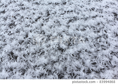 Freezing of surface of the Lake Manzherok, Altai Freezing of surface of the Lake Manzherok, Altai 83994868