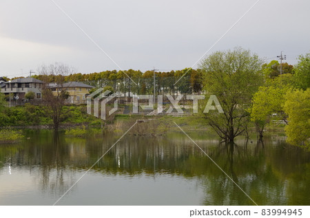 Handa City Ninboyama Park Handa City Ninboyama Park 83994945