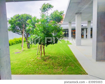 Nature of Miyako Shimojishima Airport Terminal Nature of Miyako Shimojishima Airport Terminal 83995003