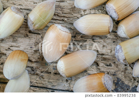 closeup hazelnuts with nutshells on a wooden table closeup hazelnuts with nutshells on a wooden table 83995238