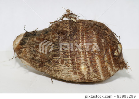 Taro (taro) 83995299