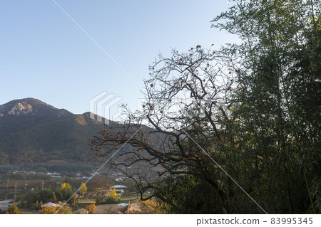 Nakan-eupseong，Suncheon，Jeonnam 83995345