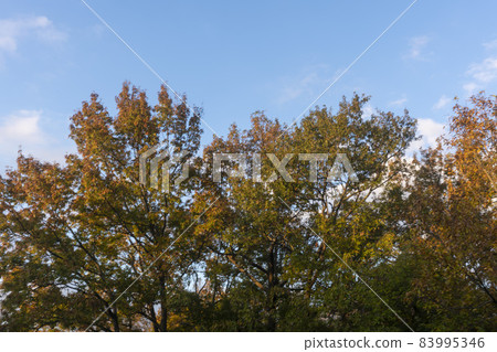 Nakan-eupseong，Suncheon，Jeonnam 83995346