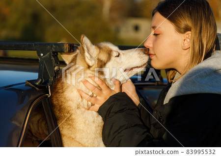 Young girl kisses a husky dog that looks out of the car window Young girl kisses a husky dog that looks out of the car window 83995532