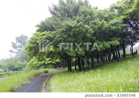 拉姆薩爾公約濕地藤前灘塗 83995546