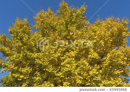 Nakan-eupseong，Suncheon，Jeonnam 83995666