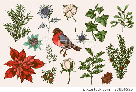 Vintage design elements for Christmas Vintage design elements for Christmas 83996559