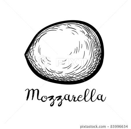 Ink sketch of mozzarella cheese. 83996634