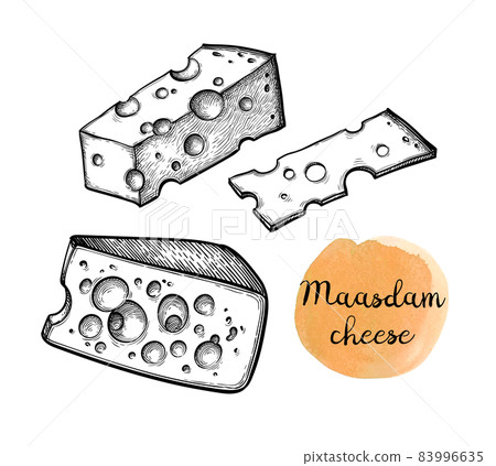 Ink sketches of swiss cheese 83996635