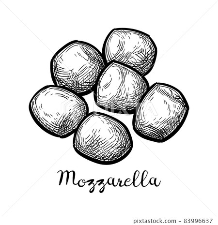 Ink sketch of mozzarella cheese. 83996637