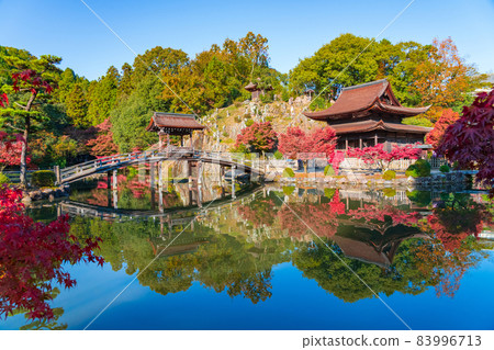 Autumn Kokeizan Eihoji Temple <Tajimi City, Gifu Prefecture> 83996713
