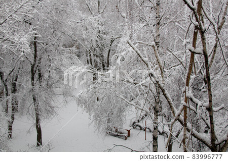 Snowy Landscape Wallpaper With Trees Snow White Winter Background