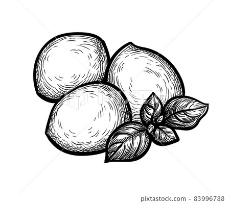 Mozzarella cheese with basil. 83996788