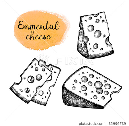 Ink sketches of swiss cheese 83996789