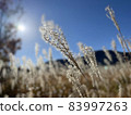 長者原的忠原濕地（鈴木） 83997263